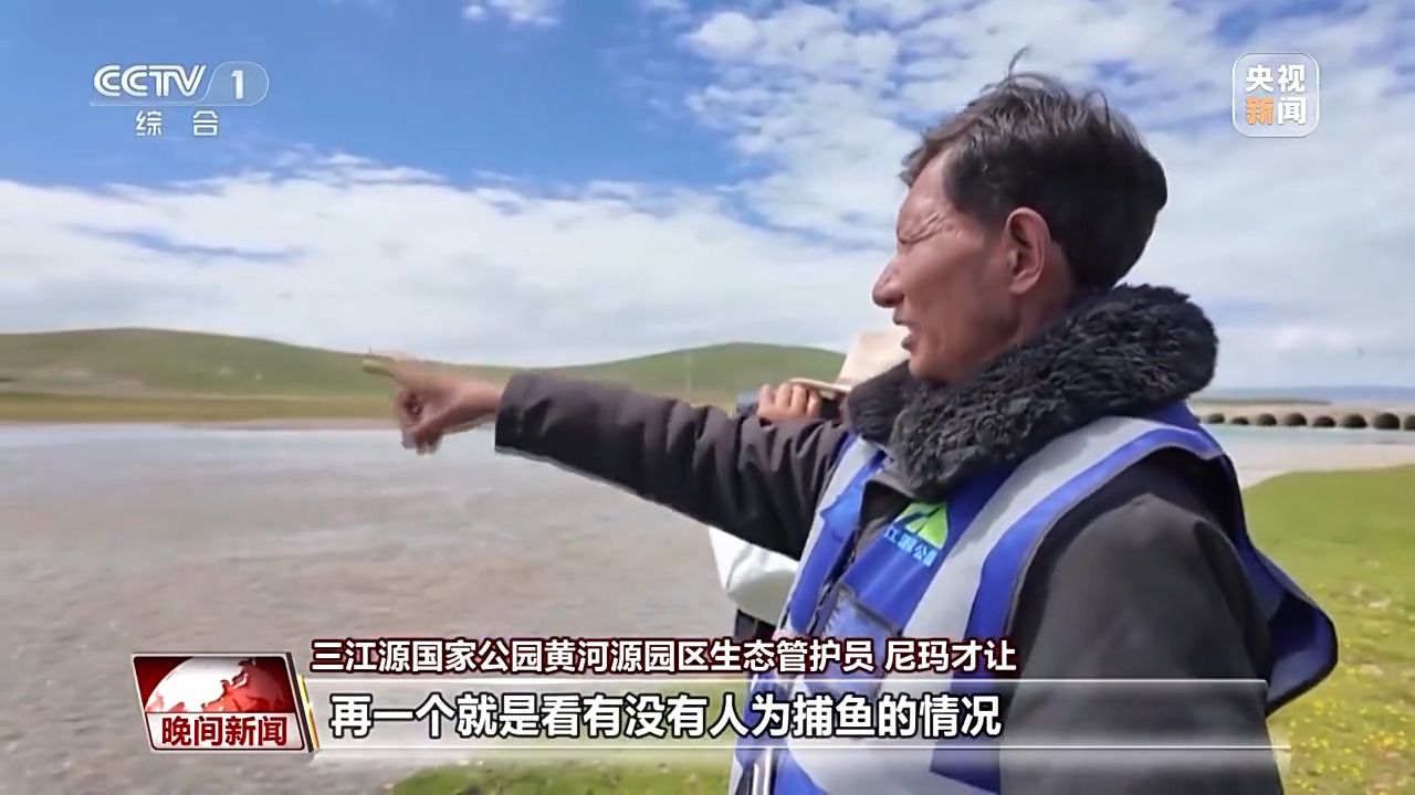 看见美丽中国丨三江源20年蜕变:千湖归来 “中华水塔”焕新生