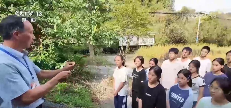 教师节快乐!对每一位老师道声辛苦,感谢您的培养之恩